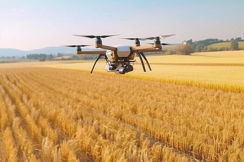 Agricultura algorítmica: cultivos que se autoregulan con IA