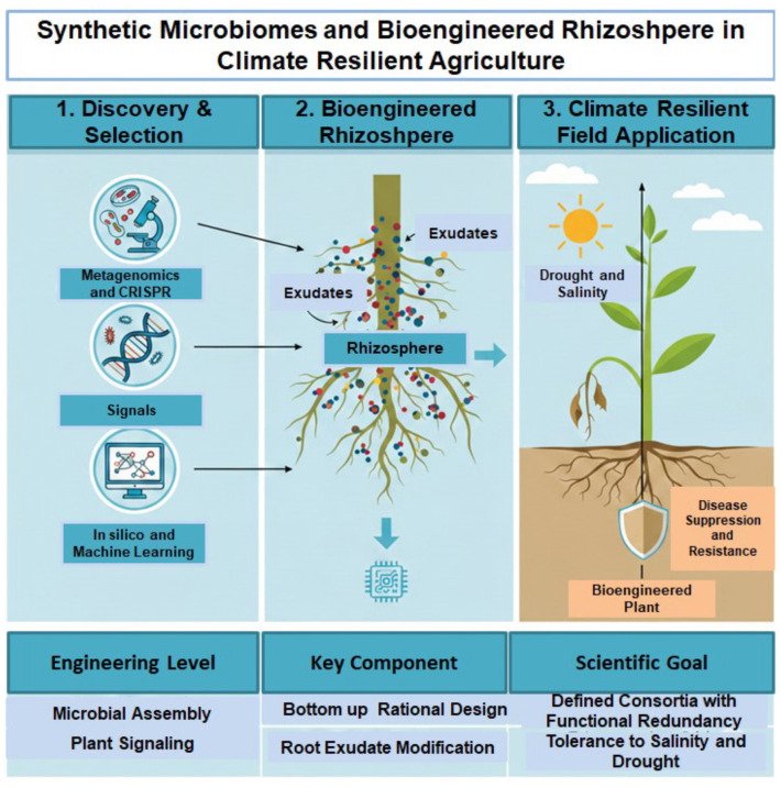 Biología sintética e IA: diseñando microorganismos contra el cambio climático