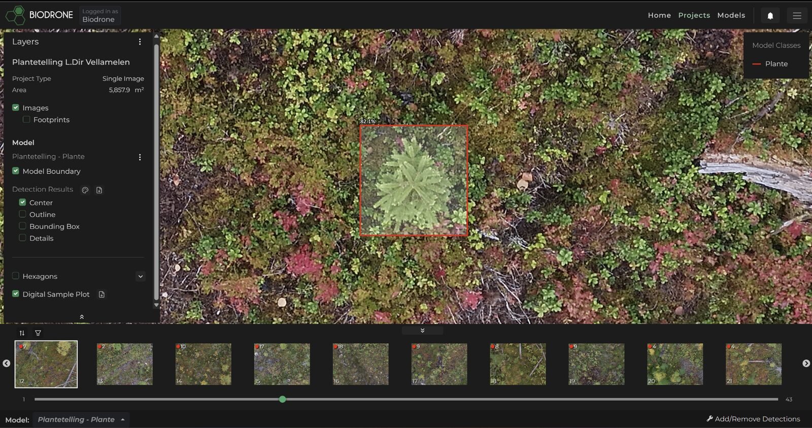 Comparativa. "El 'internet de las plantas': cómo los sensores biónicos y la IA están traduciendo las señales eléctricas de los bosques en redes de comunicación que predicen desastres ecológicos en tiempo real"