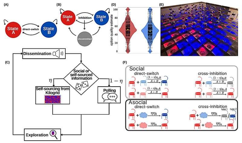 El Ballet de los Bits: Abejas que Enseñan a las Redes a Bailar en Consenso