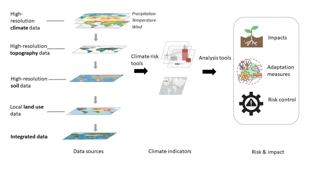 IA Detective Climático: Algoritmos que Revelan lo Invisible